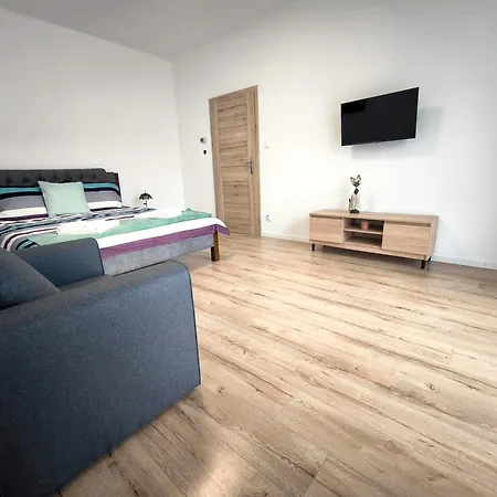 Casa de hóspedes Karpatia S Privátnym Parkovaním Svidnik