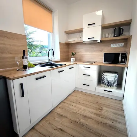 Casa de hóspedes Karpatia S Privátnym Parkovaním Svidnik