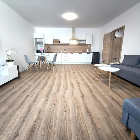 Karpatia S Privátnym Parkovaním Casa de hóspedes