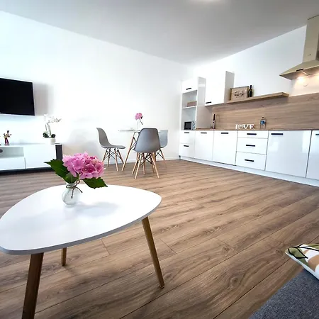 Casa de hóspedes Karpatia S Privátnym Parkovaním Svidnik