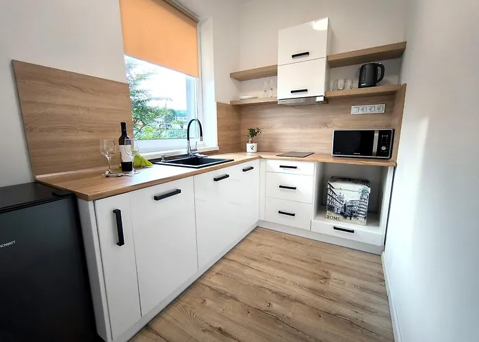 게스트하우스 Karpatia S Privatnym Parkovanim 스비드니크